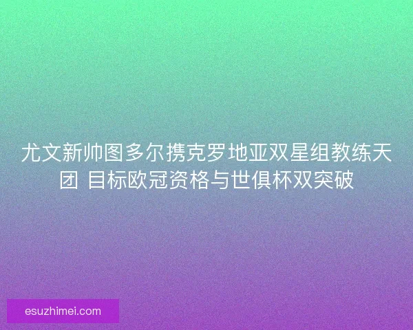 尤文新帅图多尔携克罗地亚双星组教练天团 目标欧冠资格与世俱杯双突破