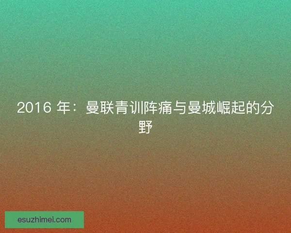 2016 年：曼联青训阵痛与曼城崛起的分野