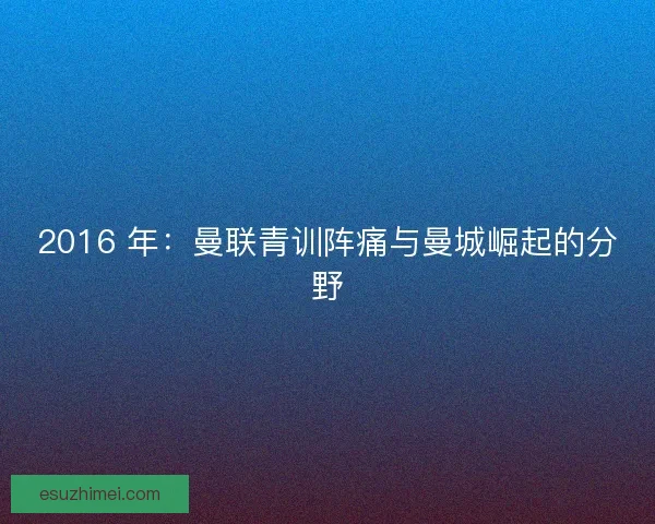 2016 年：曼联青训阵痛与曼城崛起的分野